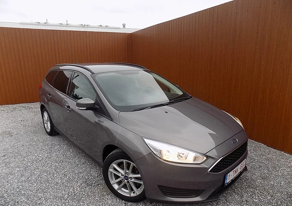 Ford Focus cena 29900 przebieg: 168000, rok produkcji 2016 z Ryki małe 379